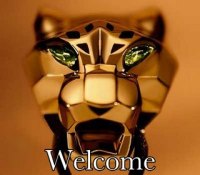 Welcome_cartier_panther_2_11.9
